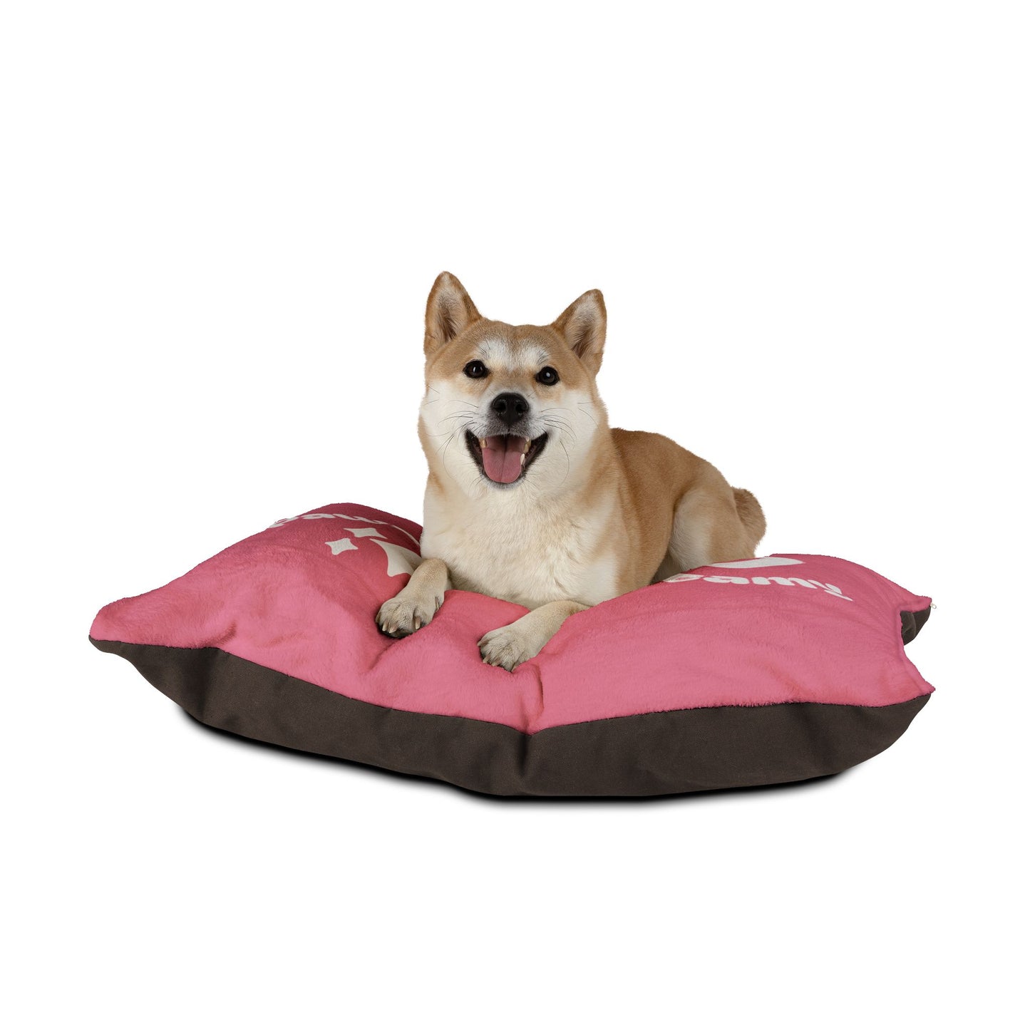 'Pawsitively Dreamy' Pet Bed - Pink