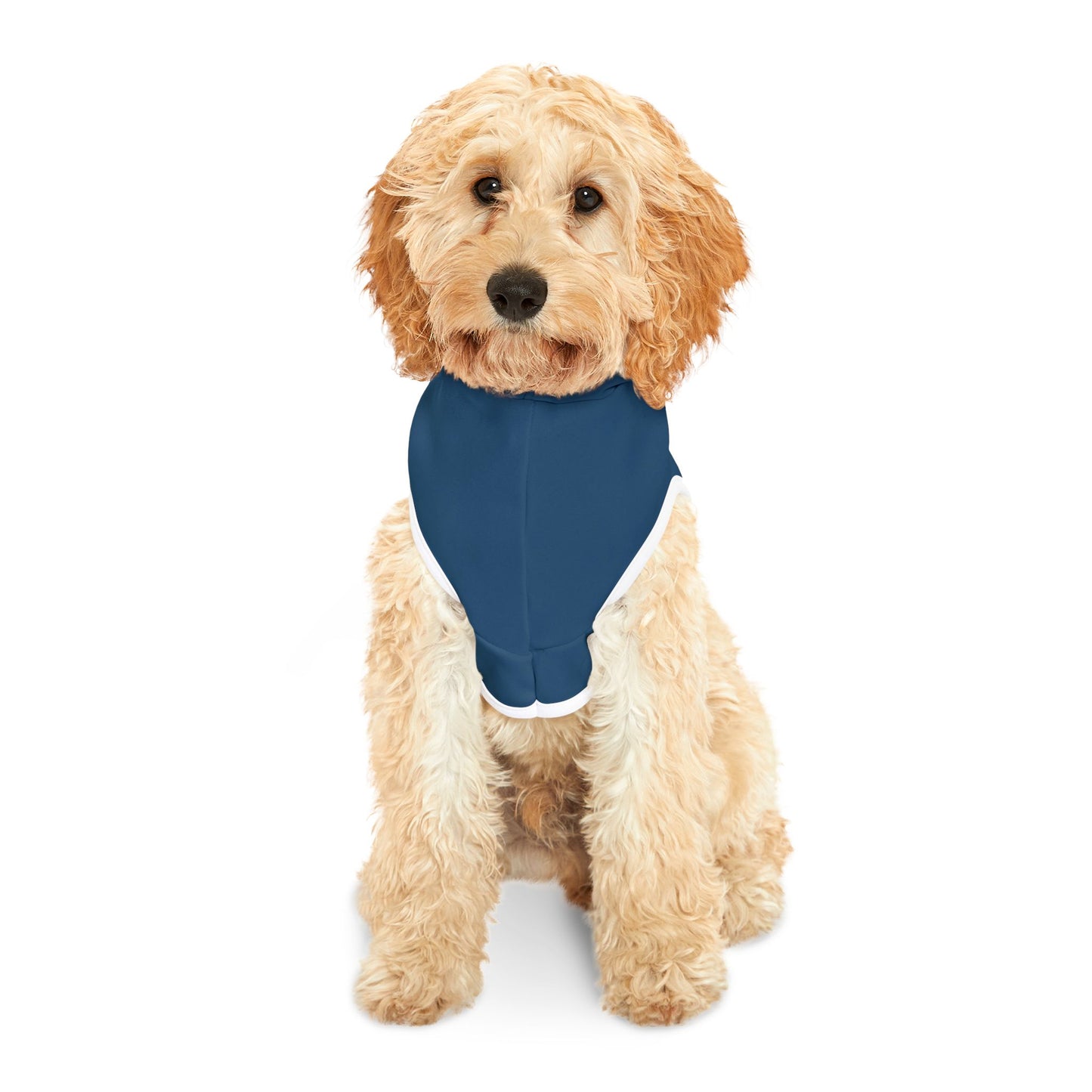 Dog City NYC Skyline Hoodie - Blue