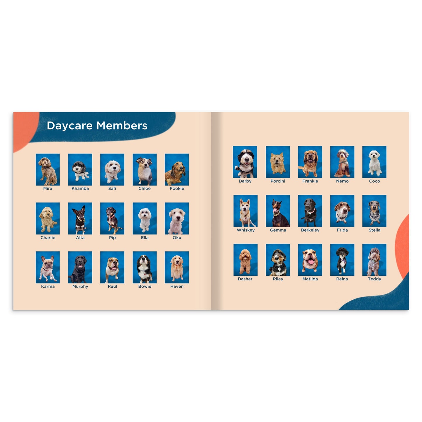 8fe62083-bf5e-43b2-8749-5ad3148f69e1